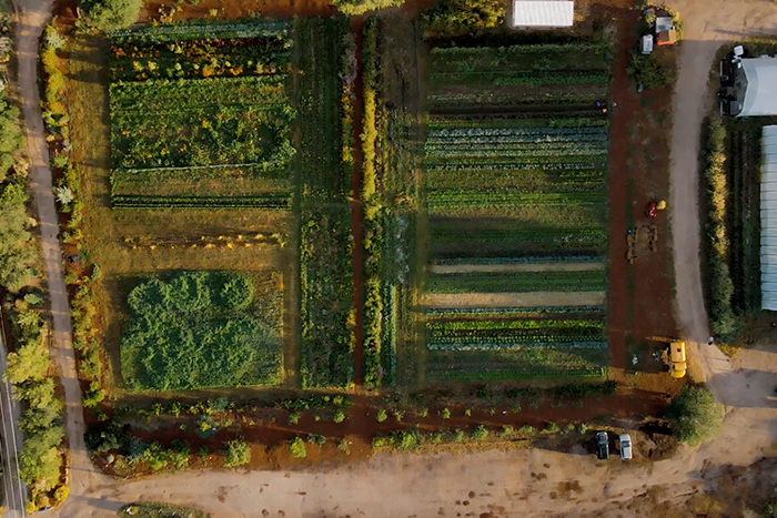 Reunity Resources Farm Stand + Soil Yard