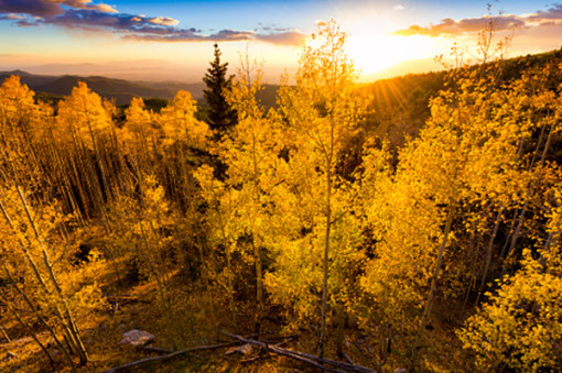 Celebrate Fall’s Splendor in Santa Fe County