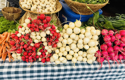 Your Ultimate Summer Guide to Santa Fe County