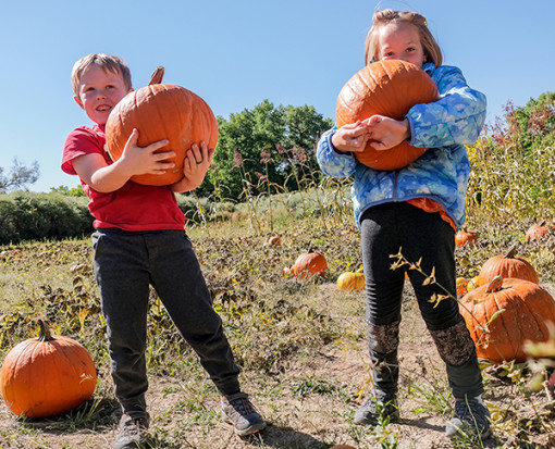 Step into Fall in Santa Fe County