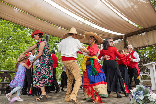 Spring Blossoms in Santa Fe County