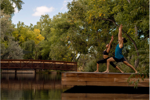 Spring Into Wellness